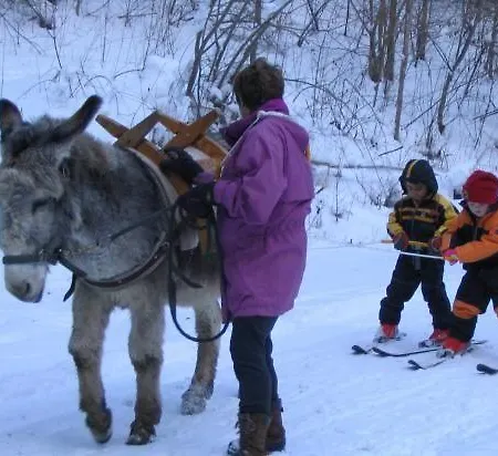 Le Relais Des Ecrins * Saint-Christophe-en-Oisans